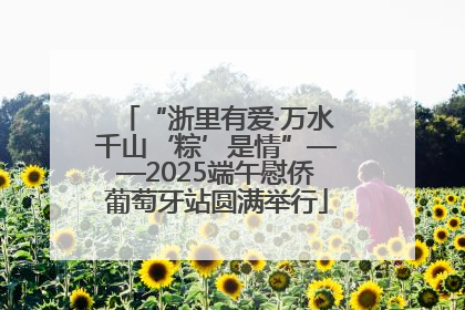 “浙里有爱·万水千山‘粽’是情”——2025端午慰侨葡萄牙站圆满举行