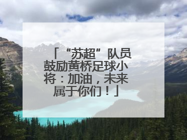 “苏超”队员鼓励黄桥足球小将：加油，未来属于你们！