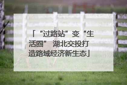 “过路站”变“生活圈” 湖北交投打造路域经济新生态
