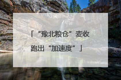 “豫北粮仓”麦收跑出“加速度”