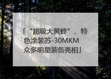 “超级大黄蜂”、特色涂装苏-30MKM 众多明星装备亮相