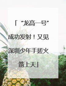 “龙高一号”成功发射！又见深圳少年手搓火箭上天
