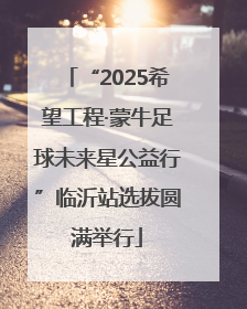 “2025希望工程·蒙牛足球未来星公益行”临沂站选拔圆满举行