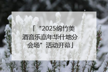 “2025绵竹美酒音乐嘉年华什地分会场”活动开幕