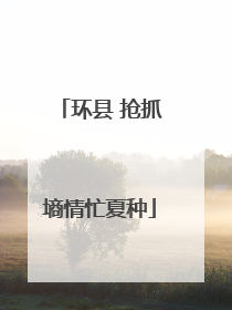 环县 抢抓墒情忙夏种