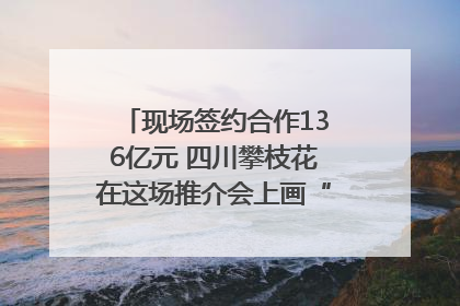 现场签约合作136亿元 四川攀枝花在这场推介会上画“图谱”列“清单”