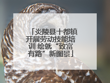 炎陵县十都镇开展劳动技能培训 绘就“致富有路”新图景