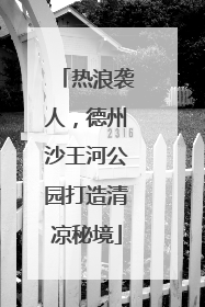 热浪袭人，德州沙王河公园打造清凉秘境