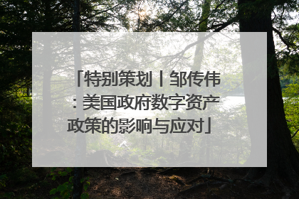 特别策划丨邹传伟：美国政府数字资产政策的影响与应对