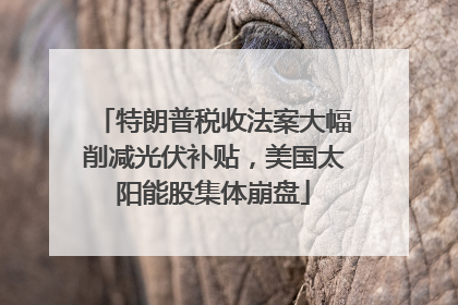 特朗普税收法案大幅削减光伏补贴，美国太阳能股集体崩盘