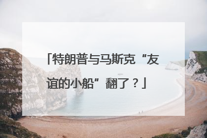 特朗普与马斯克“友谊的小船”翻了？