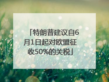 特朗普建议自6月1日起对欧盟征收50%的关税