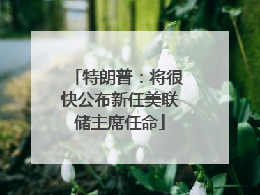 特朗普：将很快公布新任美联储主席任命