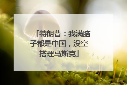 特朗普：我满脑子都是中国，没空搭理马斯克