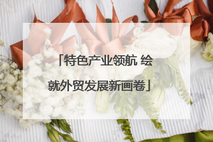 特色产业领航 绘就外贸发展新画卷