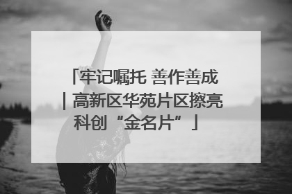 牢记嘱托 善作善成｜高新区华苑片区擦亮科创“金名片”