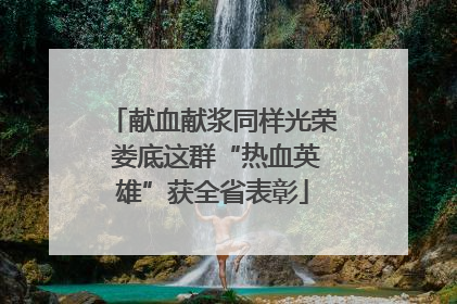 献血献浆同样光荣 娄底这群“热血英雄”获全省表彰