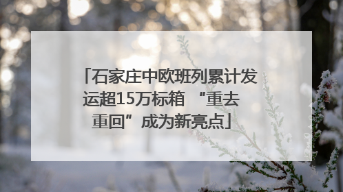 石家庄中欧班列累计发运超15万标箱 “重去重回”成为新亮点