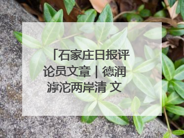 石家庄日报评论员文章｜德润滹沱两岸清 文明花开幸福城