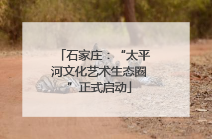 石家庄：“太平河文化艺术生态圈”正式启动