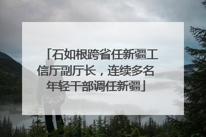 石如根跨省任新疆工信厅副厅长，连续多名年轻干部调任新疆