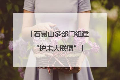 石景山多部门组建“护未大联盟”