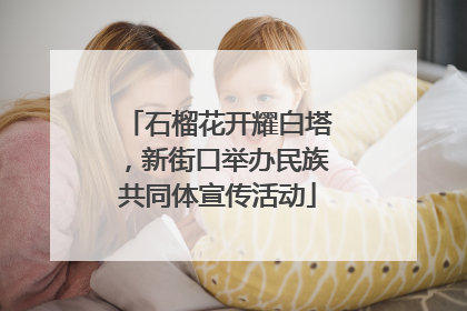 石榴花开耀白塔，新街口举办民族共同体宣传活动