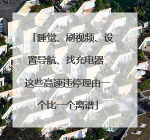 睡觉、刷视频、设置导航、找充电器 这些高速违停理由一个比一个离谱