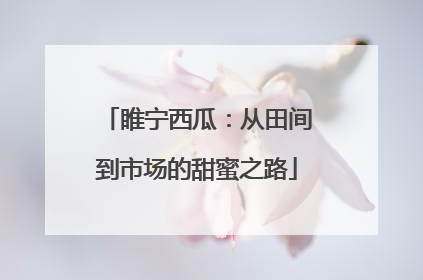 睢宁西瓜：从田间到市场的甜蜜之路