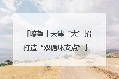 瞭望丨天津“大”招打造“双循环支点”