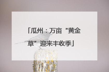 瓜州：万亩“黄金草”迎来丰收季
