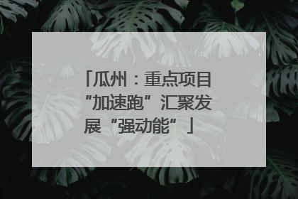 瓜州：重点项目“加速跑”汇聚发展“强动能”