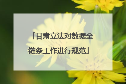 甘肃立法对数据全链条工作进行规范
