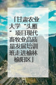 甘肃农业大学“头雁”项目现代畜牧业高质量发展培训班走进榆林榆阳区