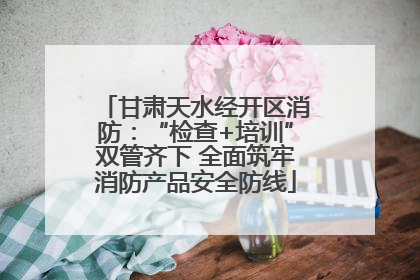 甘肃天水经开区消防：“检查+培训”双管齐下 全面筑牢消防产品安全防线