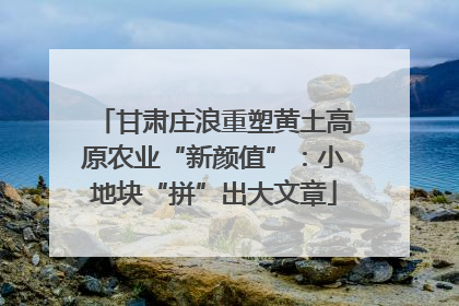 甘肃庄浪重塑黄土高原农业“新颜值”：小地块“拼”出大文章