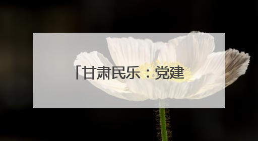 甘肃民乐：党建引领产业兴 绘就乡村新画卷