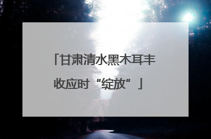 甘肃清水黑木耳丰收应时“绽放”