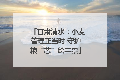 甘肃清水：小麦管理正当时 守护粮“芯”绘丰景