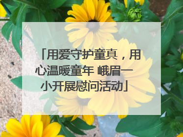 用爱守护童真，用心温暖童年 峨眉一小开展慰问活动