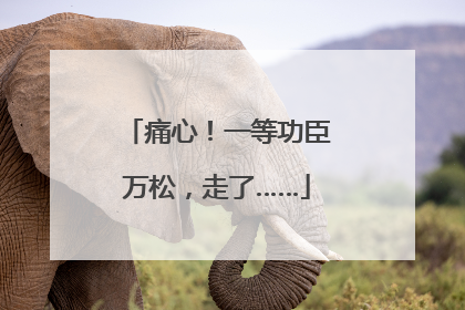 痛心！一等功臣万松，走了……