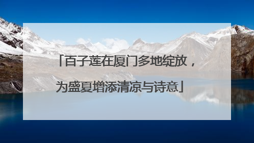 百子莲在厦门多地绽放，为盛夏增添清凉与诗意