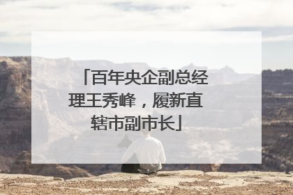 百年央企副总经理王秀峰，履新直辖市副市长