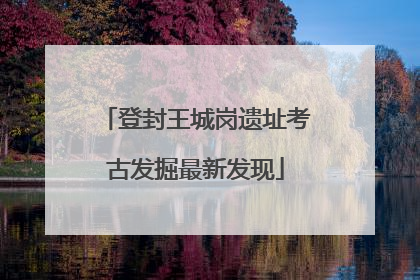 登封王城岗遗址考古发掘最新发现