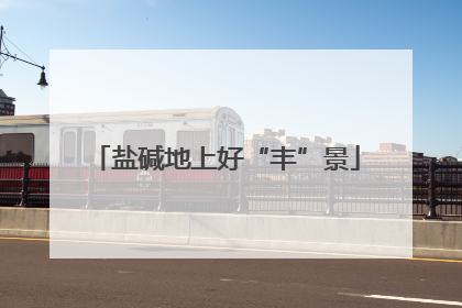 盐碱地上好“丰”景