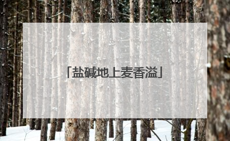 盐碱地上麦香溢