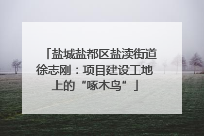 盐城盐都区盐渎街道徐志刚：项目建设工地上的“啄木鸟”