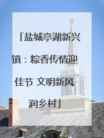 盐城亭湖新兴镇：粽香传情迎佳节 文明新风润乡村