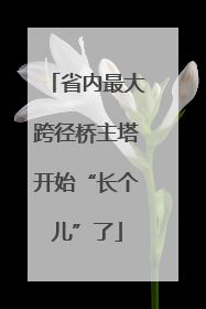 省内最大跨径桥主塔开始“长个儿”了