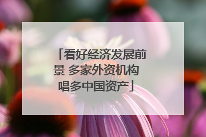 看好经济发展前景 多家外资机构唱多中国资产